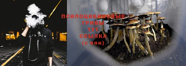 ECSTASY Алзамай
