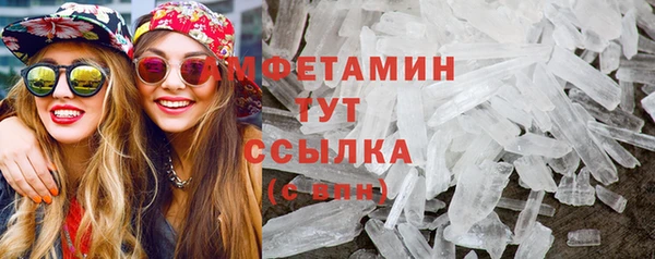 ECSTASY Алзамай