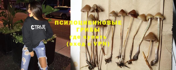 спайс Алексеевка